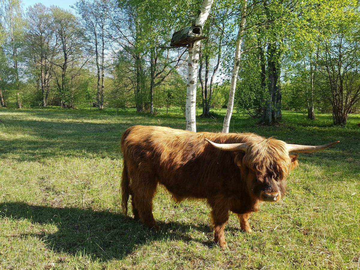 Risti Kodumajutus Lemsi Exterior foto